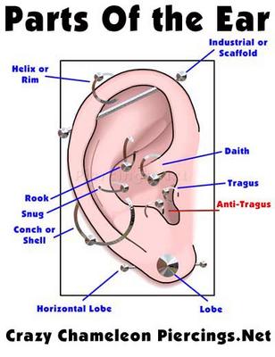 piercing oreil
